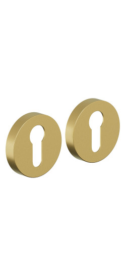 AR-7CL, цвет: SGold